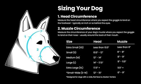Rex Specs V2 Dog Goggles (Appalachian Orange, X-Small) in Saudi Arabia