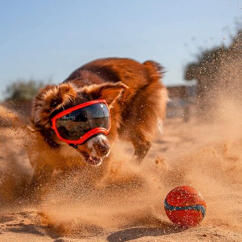 Rex Specs V2 Dog Goggles (Appalachian Orange, X-Small) in Saudi Arabia