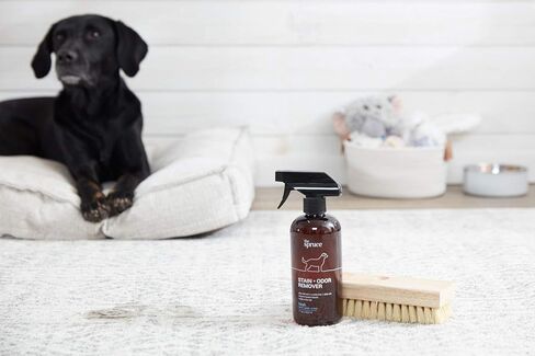 The Spruce Pet Stain & Odor Remover - Plant-Derived Enzyme-Based Cleaner for Dog and Cats Urine, Feces, Vomit, etc. Safe & Effective on Tile, Hardwood, Carpets, and Upholstery - 2oz Travel Size 3 Pack in Kuwait