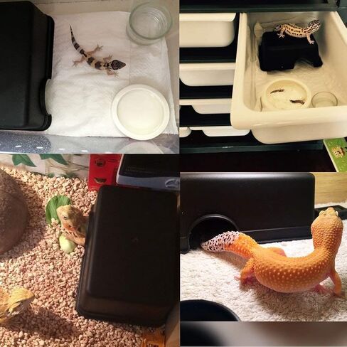 Wontee Reptile Hideout Box Small Animal Hide Cave for Snakes Lizards Leopard Gecko Rodents Spiders (S) in Kuwait