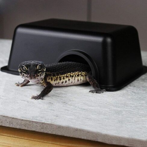 Wontee Reptile Hideout Box Small Animal Hide Cave for Snakes Lizards Leopard Gecko Rodents Spiders (S) in Kuwait