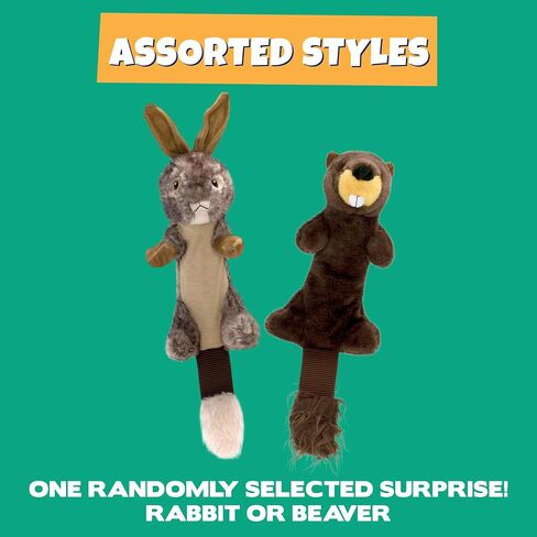 Pet Factory Shake & Squeak Critter Tugz Jr. Plush Dog Toy, Randomly Selected - Raccoon OR Squirrel, One Size in Saudi Arabia