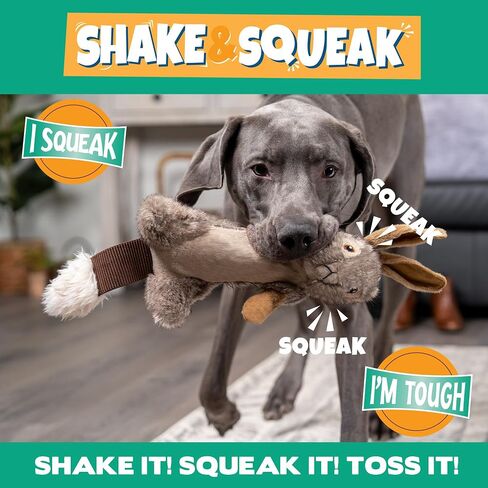 Pet Factory Shake & Squeak Critter Tugz Jr. Plush Dog Toy, Randomly Selected - Raccoon OR Squirrel, One Size in Saudi Arabia