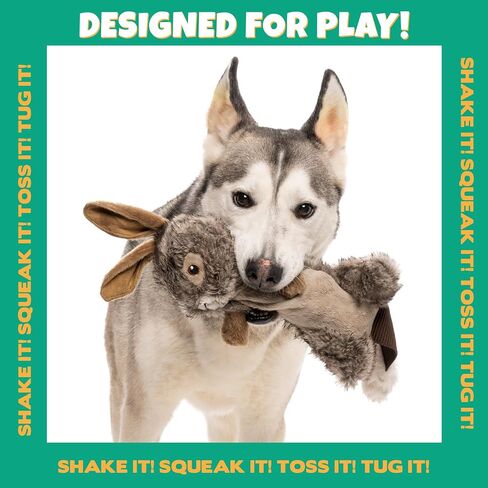 Pet Factory Shake & Squeak Critter Tugz Jr. Plush Dog Toy, Randomly Selected - Raccoon OR Squirrel, One Size in Saudi Arabia