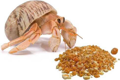 Hermit Crab Supplies Bulk All Natural Treats, Habitat Necessities for Pet Crabs, Keep Your Pets Healthy, .75 Ounces, Pack of 3 in Saudi Arabia
