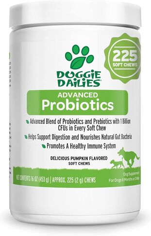 Doggie Dailies Probiotic Soft Chews for Dogs, Pumpkin, 225 Count in Kuwait