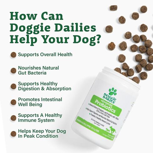 Doggie Dailies Probiotic Soft Chews for Dogs, Pumpkin, 225 Count in Kuwait