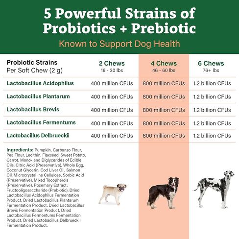Doggie Dailies Probiotic Soft Chews for Dogs, Pumpkin, 225 Count in Kuwait