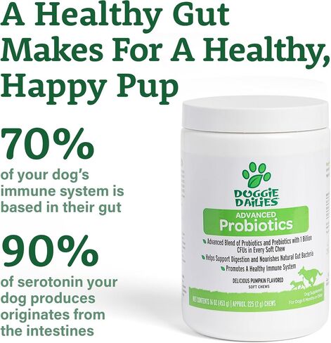 Doggie Dailies Probiotic Soft Chews for Dogs, Pumpkin, 225 Count in Kuwait