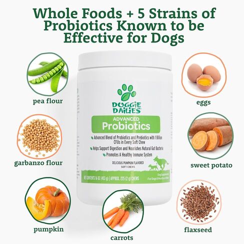 Doggie Dailies Probiotic Soft Chews for Dogs, Pumpkin, 225 Count in Kuwait