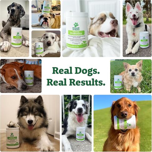 Doggie Dailies Probiotic Soft Chews for Dogs, Pumpkin, 225 Count in Kuwait