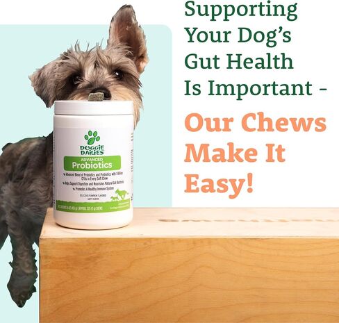 Doggie Dailies Probiotic Soft Chews for Dogs, Pumpkin, 225 Count in Kuwait