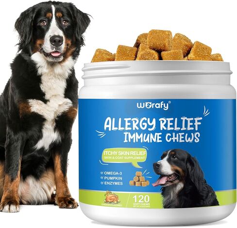 علاجات تخفيف حساسية الكلاب مع أوميغا 3 + يقطين + إنزيمات، مضغ تخفيف حساسية الكلاب، تخفيف الحكة للكلاب، علاجات مضادة للحكة - الجلد والفرو + مكمل هضمي مناعي in Kuwait