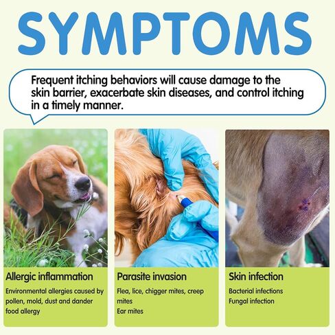 علاجات تخفيف حساسية الكلاب مع أوميغا 3 + يقطين + إنزيمات، مضغ تخفيف حساسية الكلاب، تخفيف الحكة للكلاب، علاجات مضادة للحكة - الجلد والفرو + مكمل هضمي مناعي in Kuwait