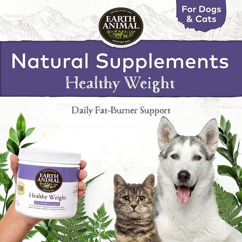 Earth Animal Healthy Digestion Nutritional Supplement for Dogs & Cats | Made in The USA with Natural Ingredients | 8 oz in Saudi Arabia