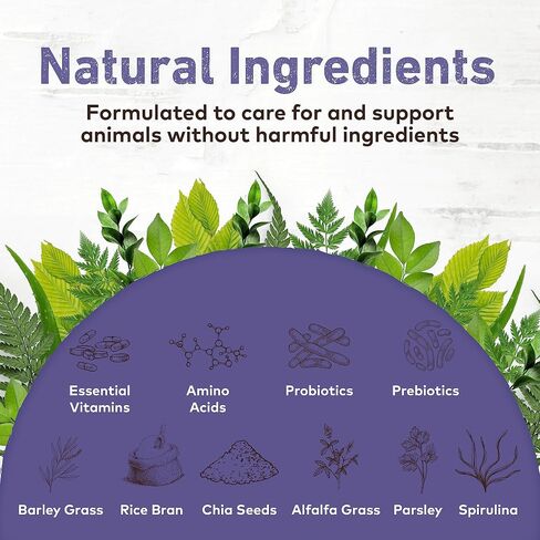 Earth Animal Healthy Digestion Nutritional Supplement for Dogs & Cats | Made in The USA with Natural Ingredients | 8 oz in Saudi Arabia