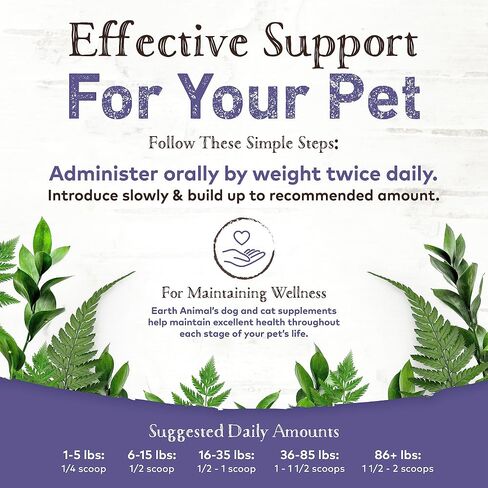 Earth Animal Healthy Digestion Nutritional Supplement for Dogs & Cats | Made in The USA with Natural Ingredients | 8 oz in Saudi Arabia
