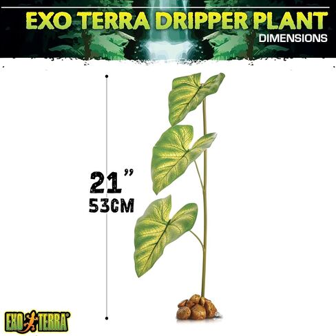 Exo Terra Dripper Plant, Small in Saudi Arabia
