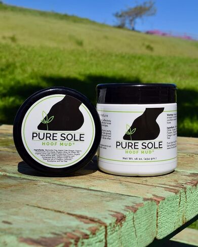 Thrush Treatment for Horses - Pure Sole Hoof Mud - Hoof Clay for Horses - A Horse Hoof Care Product for Thrush, White Line, and Hoof Wall Separation | Use Regularly for A Healthy Hoof - 32 oz. in Saudi Arabia