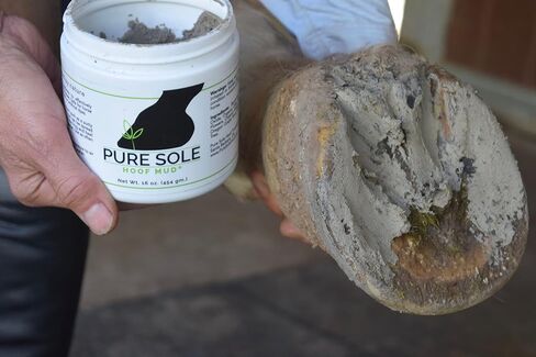 Thrush Treatment for Horses - Pure Sole Hoof Mud - Hoof Clay for Horses - A Horse Hoof Care Product for Thrush, White Line, and Hoof Wall Separation | Use Regularly for A Healthy Hoof - 32 oz. in Saudi Arabia