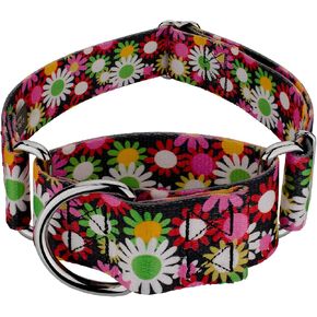 Country Brook Petz - طوق الكلب Potpourri Martingale - مجموعة الأزهار مع 6 تصاميم ساحرة (1 1/2 بوصة، متوسط) in Kuwait