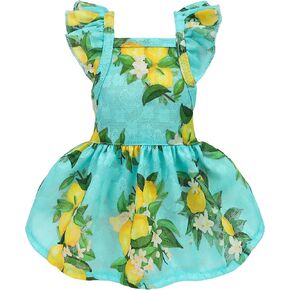 Fitwarm Colorful Heart Dog Dress, Summer Clothes for Small Dogs Girl, Cute Pet Rainbow Outfit, Red, Yellow, Blue, Green, White, Medium