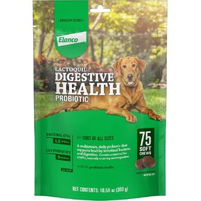 إلانكو لاكتوكويل مضغ ناعم مكمل بروبيوتيك لصحة الجهاز الهضمي للكلاب، 75 قطعة in Kuwait