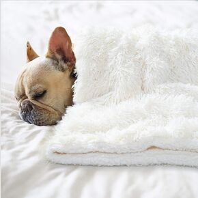 BENRON Cream White 20x30 Inch Small Dog Blanket for Couch Bed Crate Reversible Fleece Fluffy Throw Blankets