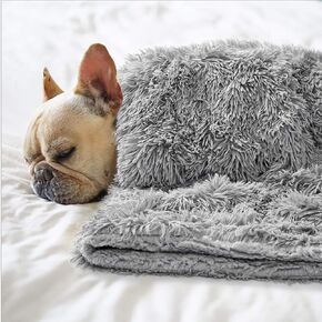 BENRON Cream White 20x30 Inch Small Dog Blanket for Couch Bed Crate Reversible Fleece Fluffy Throw Blankets