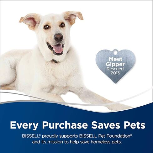 بيسيل مزيل البقع والروائح الكريهة الفوري كلين برو كات من باوسيتيفلي، 32 اونصة، 2183 in Kuwait