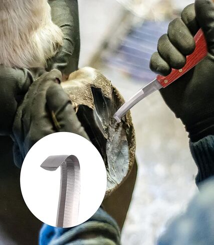 Ueemph Farrier Tools 16-inch,Horseshoe Pliers Tool for Horses,Rasp Hoof Cutter Set, Horses Hoof Trimmers Tools, Suitable for hoof Trimming of Goats, Sheep, Alpaca, Pigs, Horse Pick, Cattle, Donkeys. in Kuwait