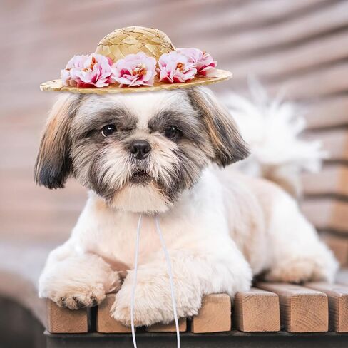 POPETPOP الحيوانات الأليفة زهرة القش قبعة الكلب الربيع الصيف Sunhat لطيف المنسوجة القش قبعة زي ملحق حجم S (زهرة وردية) in Kuwait