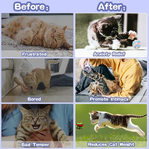 كرات العاب القطط من ويستمي (3 عبوات)، كرات لعبة للقطط مع جرس وكرات زغبية، العاب قطط تفاعلية للقطط والقطط الصغيرة، العاب مضغ للقطط الصغيرة in Kuwait