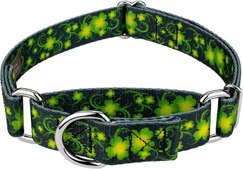 Country Brook Petz - Celtic Pride Martingale Dog Collar - Irish Pride Collection featuring Lucky Designs (1/2 Inch, 2XS) in Saudi Arabia