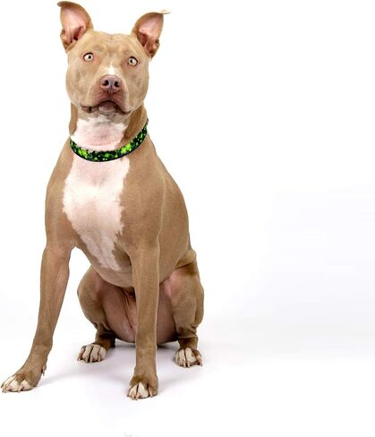 Country Brook Petz - Celtic Pride Martingale Dog Collar - Irish Pride Collection featuring Lucky Designs (1/2 Inch, 2XS) in Saudi Arabia