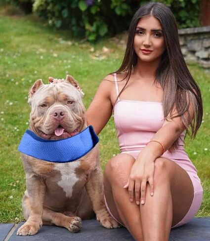 6 قطع من باندانا تبريد الكلاب من زانلر، طوق تبريد ثلجي للكلاب والحيوانات الاليفة، طوق تبريد فوري للكلاب والقطط، جيد التهوية في الطقس الحار والتهدئة (مقاس L) in Kuwait