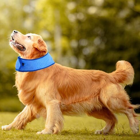 6 قطع من باندانا تبريد الكلاب من زانلر، طوق تبريد ثلجي للكلاب والحيوانات الاليفة، طوق تبريد فوري للكلاب والقطط، جيد التهوية في الطقس الحار والتهدئة (مقاس L) in Kuwait