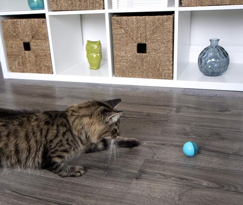 Petlinks Flicker Fun Electronic Light Ball Cat Toy, Battery Powered - Orange, One Size in Kuwait