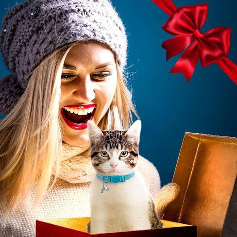 2 Pack Breakaway Cat Collars & 2 Pcs Name Tags,Reflective Safety Kitten Collar with Bell,for Girl Boy Male Cats,Adjustable 7''-12'', Personalized ID Tag,Pet Supplies,Accessories in Kuwait