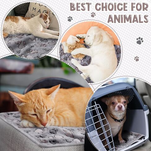 8 Pcs Fleece Dog Blankets Puppy Blankets for Small Dogs Cat Soft Blankets Coral Velvet Warm Sleep Mat Fluffy Dog Paw Print Blanket for Kitten Doggy Small Animal(Dark Gray, 24 x 16 Inch) in Kuwait