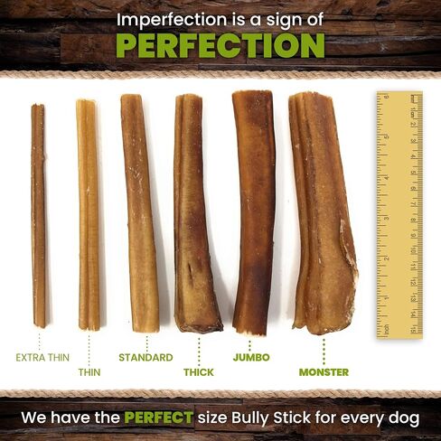 Sancho & Lola's Closet USA Black Angus Bully Sticks for Dogs-6-Inch Standard 5PK Gourmet Small Batch Grain-Free Rawhide-Free Pizzle Dog Chews - No Odor in Saudi Arabia