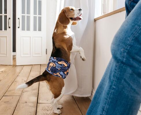 أربطة بطن للرجال قابلة للغسل من TDIAPERS، 3 عبوات من حفاضات الكلاب الفاخرة للرجال، حفاضات للكلاب قابلة لإعادة الاستخدام، مقاس XX-Large in Kuwait