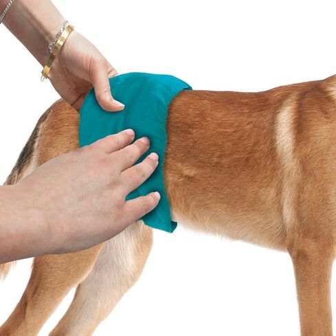 Simple Solution Washable Male Dog Diapers | Absorbent Male Wraps with Leak Proof Fit | Excitable Urination, Incontinence, or Male Marking | 1 Reusable Dog Diaper Per Pack, Whites & Tans, Large (11242) in Kuwait