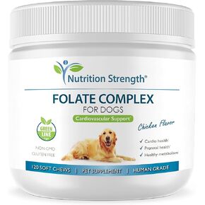 Nutrition Strength Folate for Dogs to Promote Cardiovascular & Prenatal Health, Support DNA Synthesis & Cell Maintenance, Folic Acid for Dogs with Zinc, Biotin, Iron & Vitamin B12, 120 Soft Chews in Kuwait