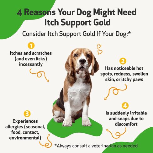 Pet Wellbeing - Itch Support Gold for Dogs - Natural Support for Itchy Skin Due to Allergies in Canines - 2 oz (59ml) in Saudi Arabia
