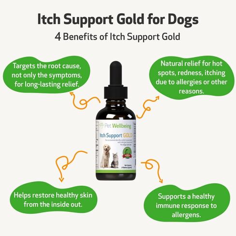 Pet Wellbeing - Itch Support Gold for Dogs - Natural Support for Itchy Skin Due to Allergies in Canines - 2 oz (59ml) in Saudi Arabia