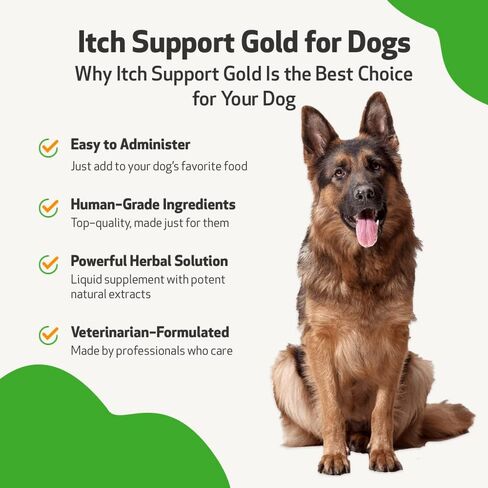Pet Wellbeing - Itch Support Gold for Dogs - Natural Support for Itchy Skin Due to Allergies in Canines - 2 oz (59ml) in Saudi Arabia