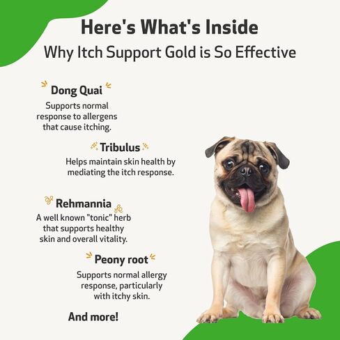 Pet Wellbeing - Itch Support Gold for Dogs - Natural Support for Itchy Skin Due to Allergies in Canines - 2 oz (59ml) in Saudi Arabia