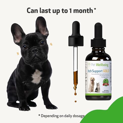 Pet Wellbeing - Itch Support Gold for Dogs - Natural Support for Itchy Skin Due to Allergies in Canines - 2 oz (59ml) in Saudi Arabia