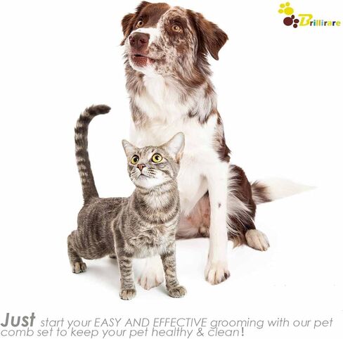 BRILLIRARE 3 Pack Dog Comb Kit, Stainless Steel Cat Flea Lice Grooming Combs with Rounded Teeth, Professional Pet Tear Stain Remover, Dematting Tool for Small, Medium & Large Pets in Saudi Arabia